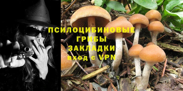 дурь Арсеньев