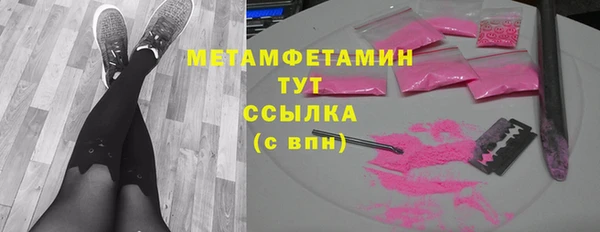 стаф Аркадак