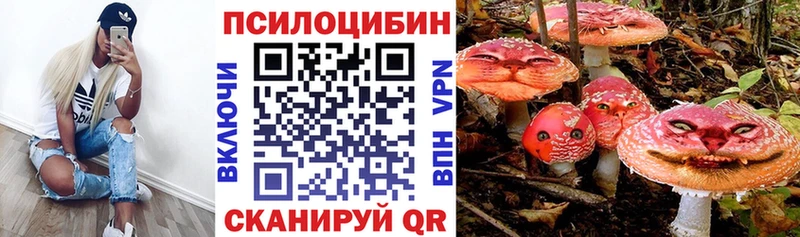 где купить   Валдай  Псилоцибиновые грибы MAGIC MUSHROOMS 